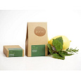 Ponio Solid Nettle Shampoo Lemon and Rosemary 30 g