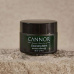 Cannor Cleansing Balm CBD and Blue Tansy