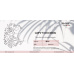 Gift voucher 50 EUR