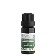 Nobilis Tilia Ravintsara Essential Oil