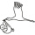 Childbirth