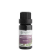 Nobilis Tilia Essential Oil Blend Meditation