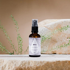 Alma Hand Cleansing Spray with Antimicrobial Effects Protector 50 ml Alma Hand Cleansing Spray with Antimicrobial Effects Protector 50 ml