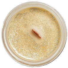 Soaphoria Limited Soy Candle Family Chaos 210 ml
