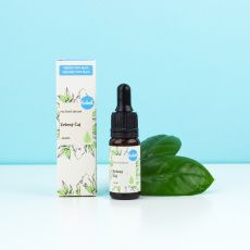 Kvitok Facial Serum Green Tea 10 ml