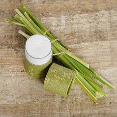 Ponio Solid Deodorant Tea Tree and Lemongrass 50 ml Ponio Solid Deodorant Tea Tree and Lemongrass 50 ml
