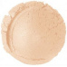 EVERYDAY MINERALS Mineral Highlighter Polished All Over Shimmer 4,8 g