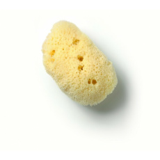 HUYGENS Natural skin cleansing sponge 1 pc
