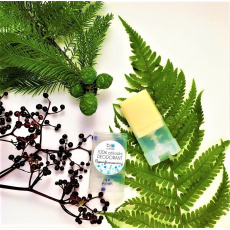 Biorythme 100% Natural Deodorant Unscented 15 g