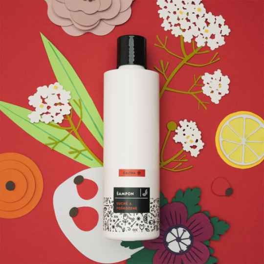 CALTHA Liquid shampoo for dry and damaged hair Elderflower and Rosehip 250 ml