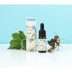 KVITOK Ginseng Facial Serum