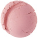 EVERYDAY MINERALS Sample Mineral Blush Tea Rose 0,14 g
