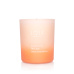 JOIK HOME & SPA plant wax candle Apricot & Fresia
