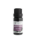 Nobilis Tilia Essential Oil Blend Second Breath