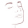 Face Care