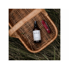 Anela Refreshing Spray for Skin After Bites Forest Lord