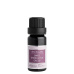 NOBILIS TILIA essential oil blend Yoga balance